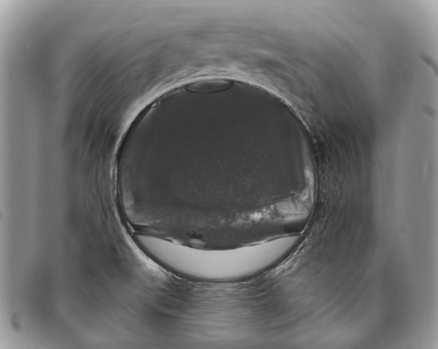 X0000097791519200803281712