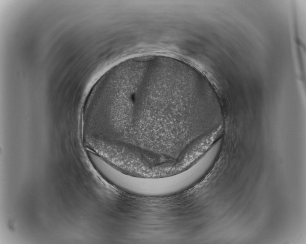 X0000097791520200803281712