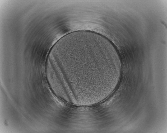 X0000097791521200803281712