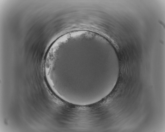 X0000097791522200803281712