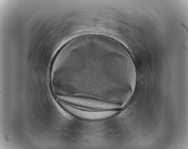 X0000097791523200803281712