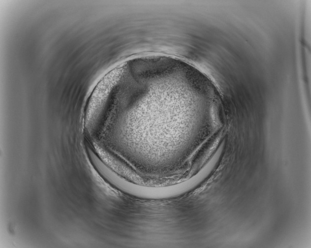 X0000097791524200803281712