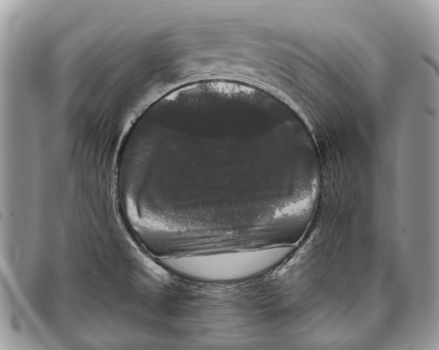 X0000097791525200803281712
