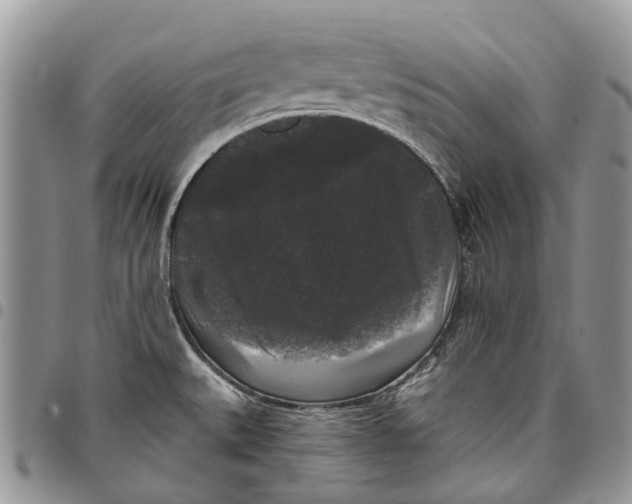 X0000097791527200803281712