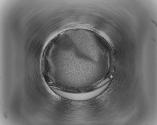 X0000097791528200803281712