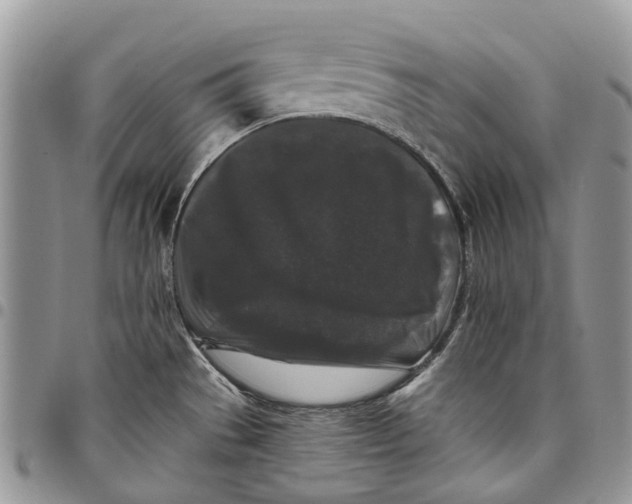 X0000097791529200803281712