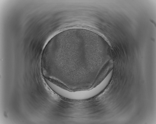 X0000097791530200803281712