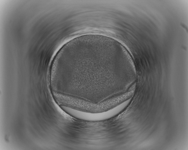 X0000097791531200803281712