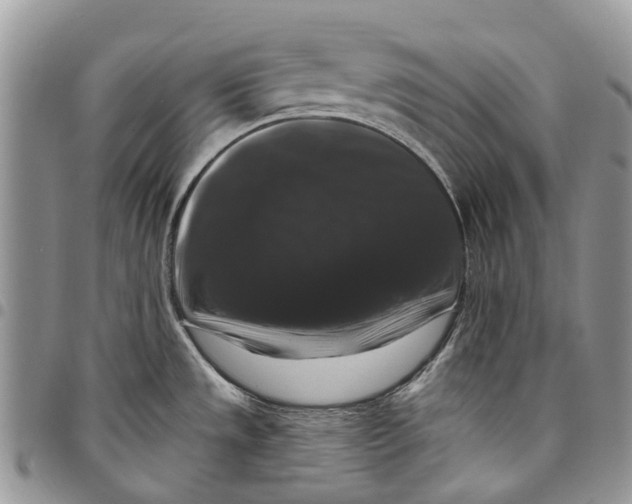X0000097791533200803281712