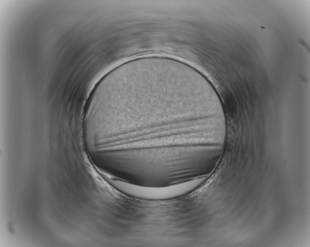 X0000097791534200803281712