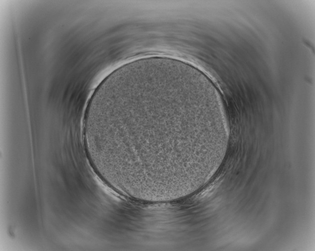 X0000097791535200803281712