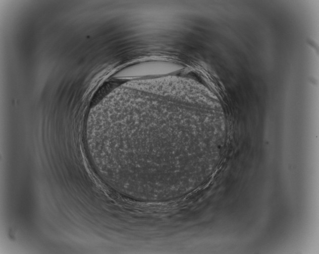 X0000097790001200804041246