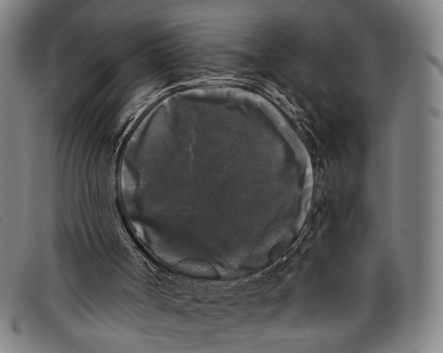 X0000097790002200804041246