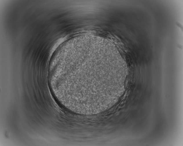 X0000097790003200804041246