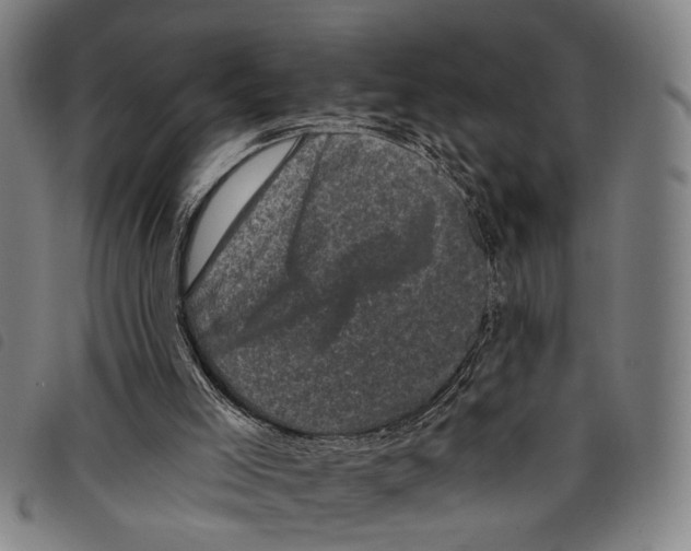 X0000097790005200804041246