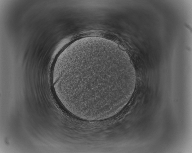 X0000097790006200804041246