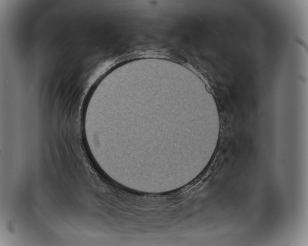 X0000097790008200804041246