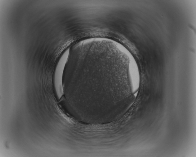 X0000097790009200804041246