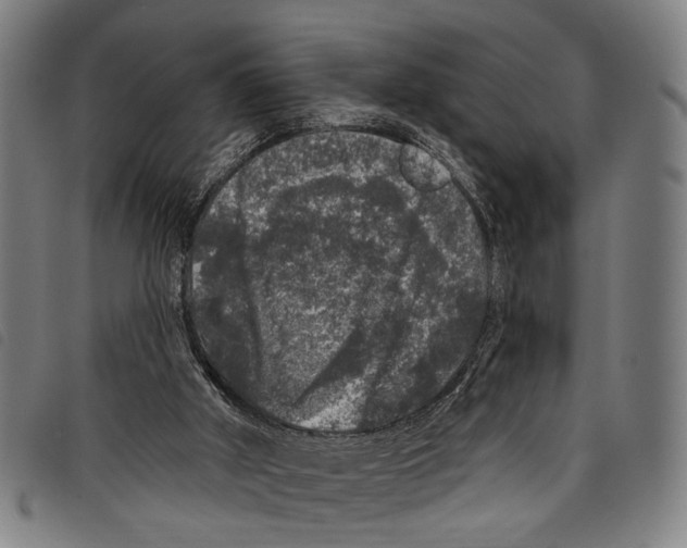 X0000097790010200804041246
