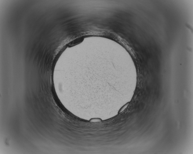 X0000097790011200804041246