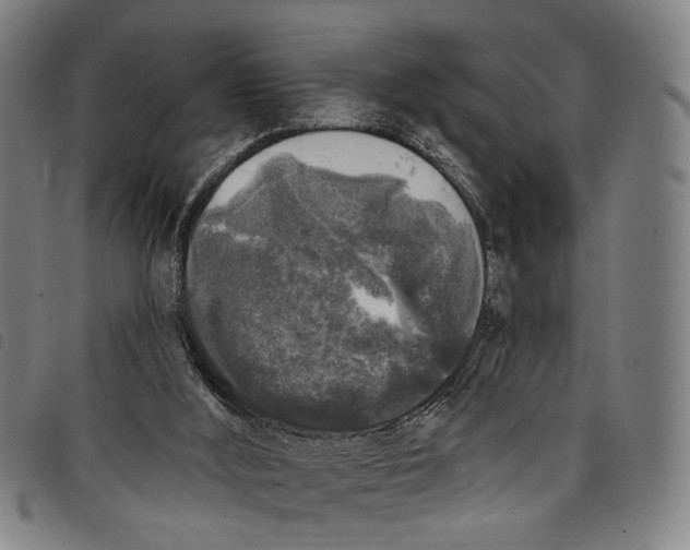 X0000097790012200804041246