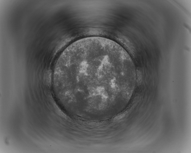 X0000097790016200804041246