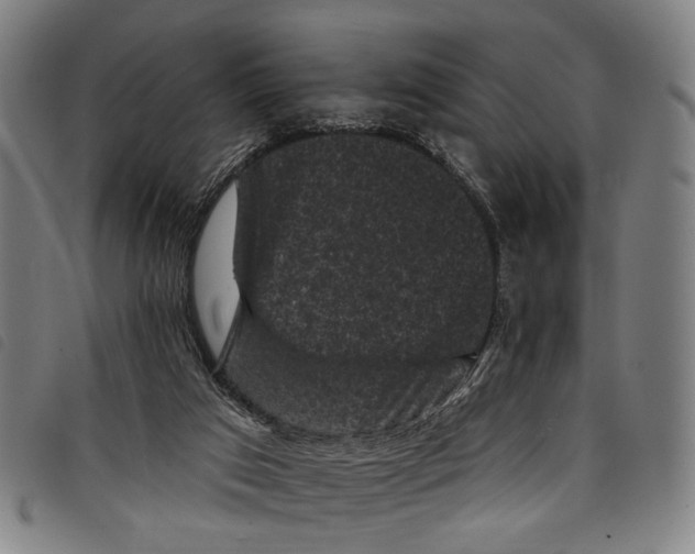 X0000097790017200804041246