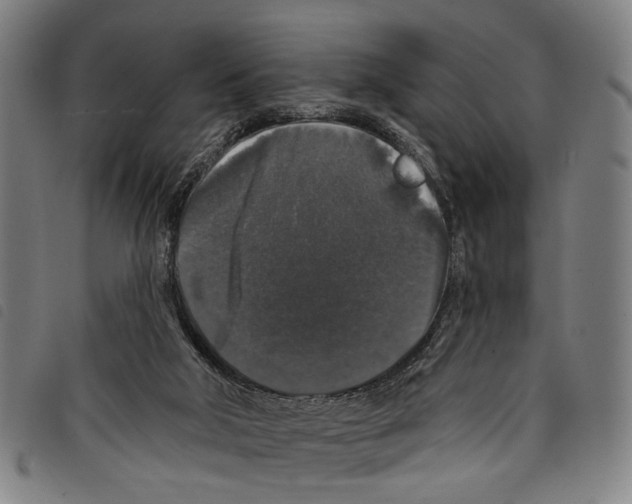 X0000097790018200804041246