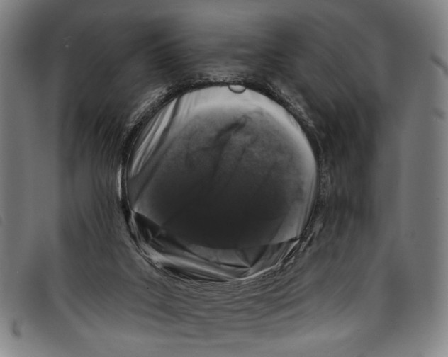 X0000097790019200804041246