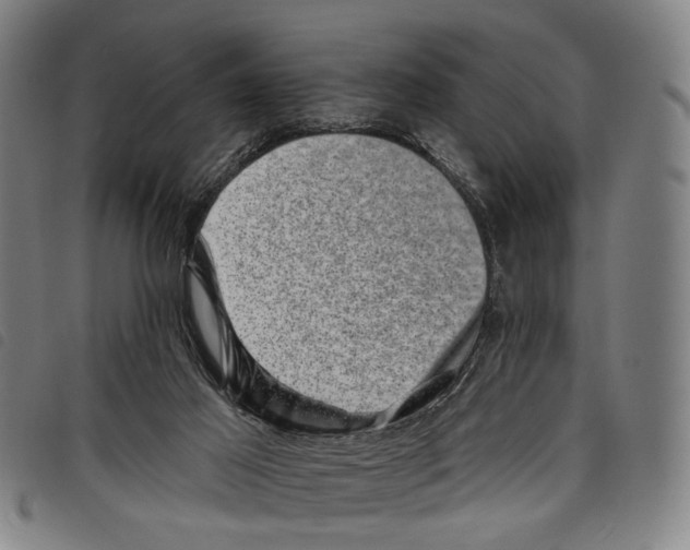 X0000097790021200804041246