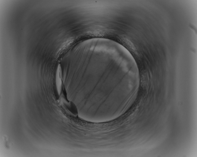 X0000097790023200804041246