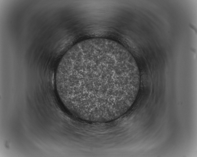 X0000097790024200804041246