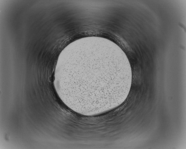 X0000097790025200804041246