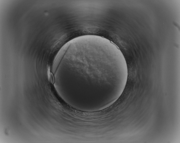 X0000097790027200804041246
