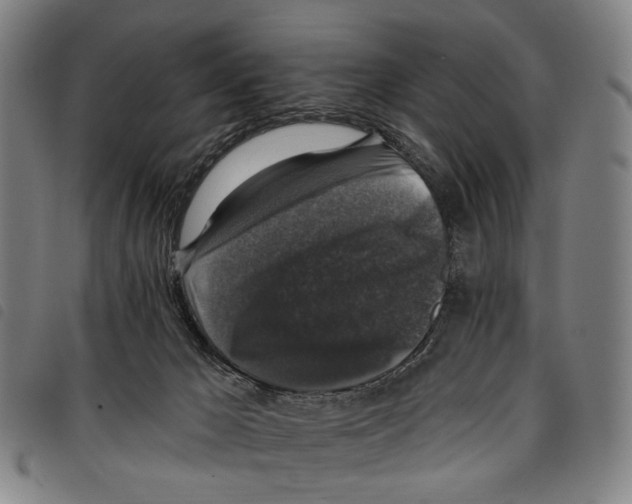 X0000097790029200804041246