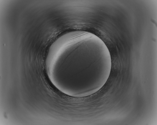 X0000097790031200804041246