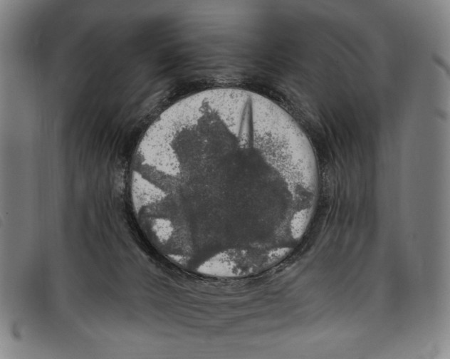 X0000097790032200804041246