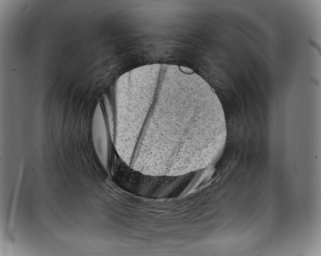 X0000097790033200804041246