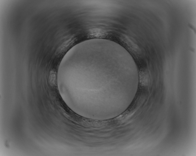 X0000097790036200804041246