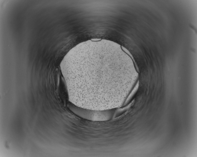 X0000097790037200804041246