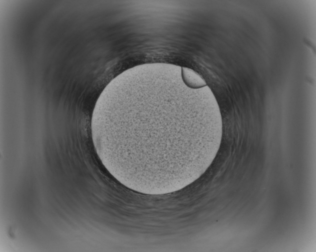 X0000097790038200804041246