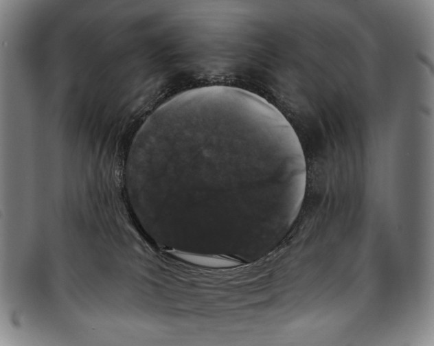 X0000097790039200804041246