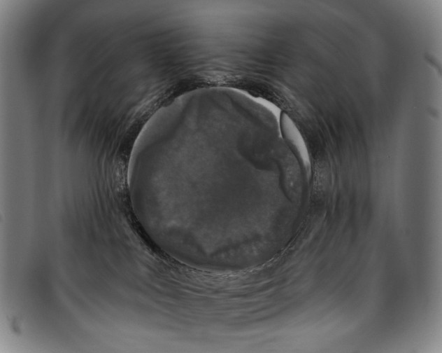 X0000097790043200804041246