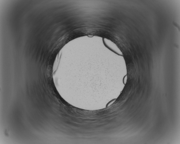 X0000097790044200804041246