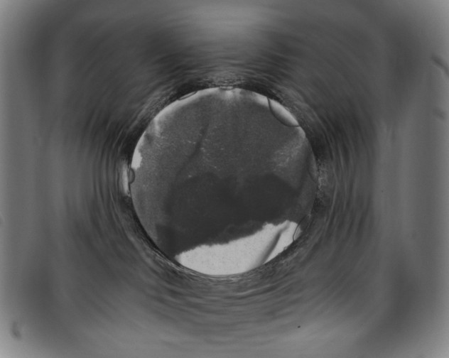 X0000097790046200804041246