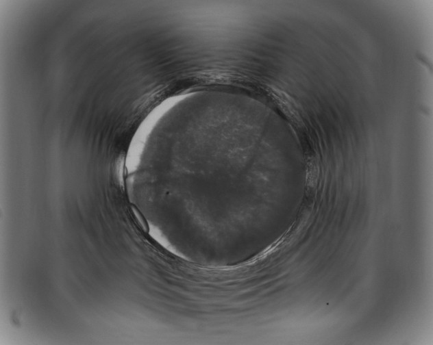 X0000097790047200804041246