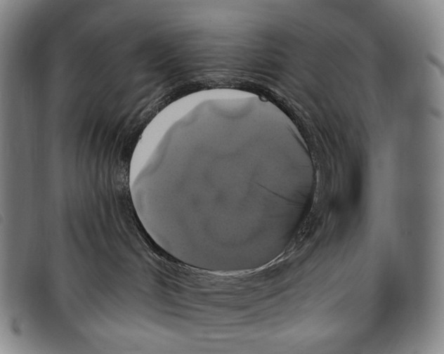 X0000097790048200804041246