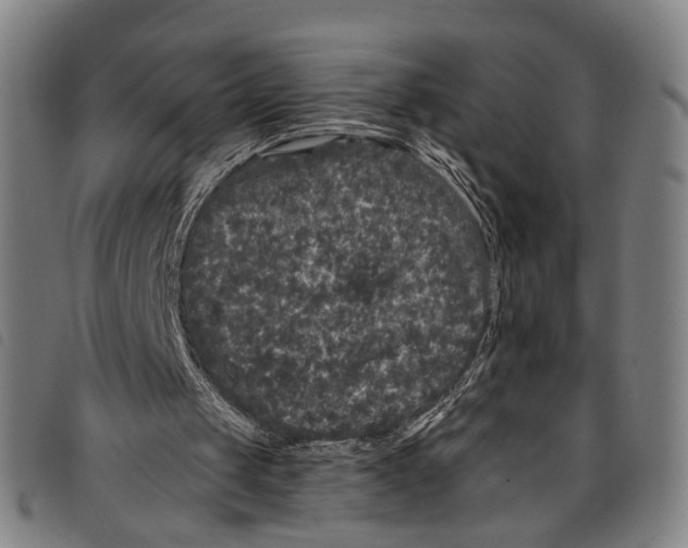 X0000097790049200804041245