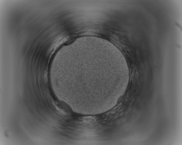 X0000097790050200804041245