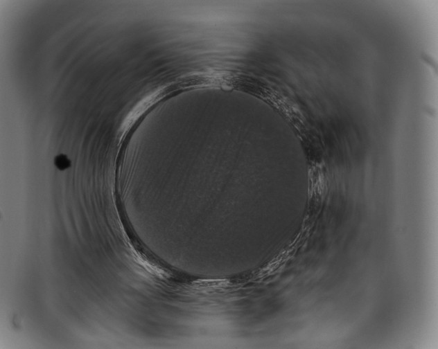 X0000097790051200804041245